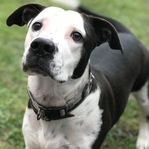 Meet your Posher, Vallerie